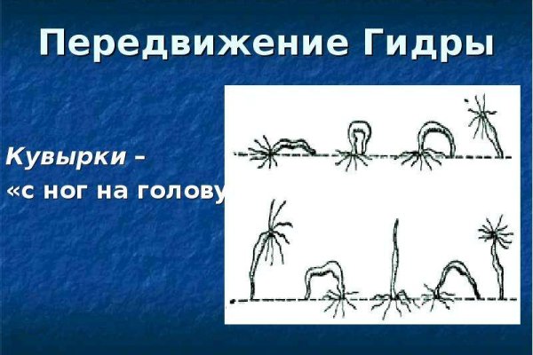 Kraken даркнет маркет